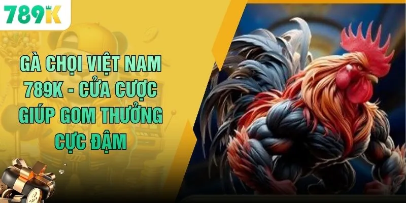 Gà Chọi Việt Nam 789K - Cửa Cược Giúp Gom Thưởng Cực Đậm 1 Gà Chọi Việt Nam 789K - Cửa Cược Giúp Gom Thưởng Cực Đậm